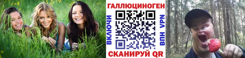 магазин    Светлогорск  Псилоцибиновые грибы GOLDEN TEACHER 